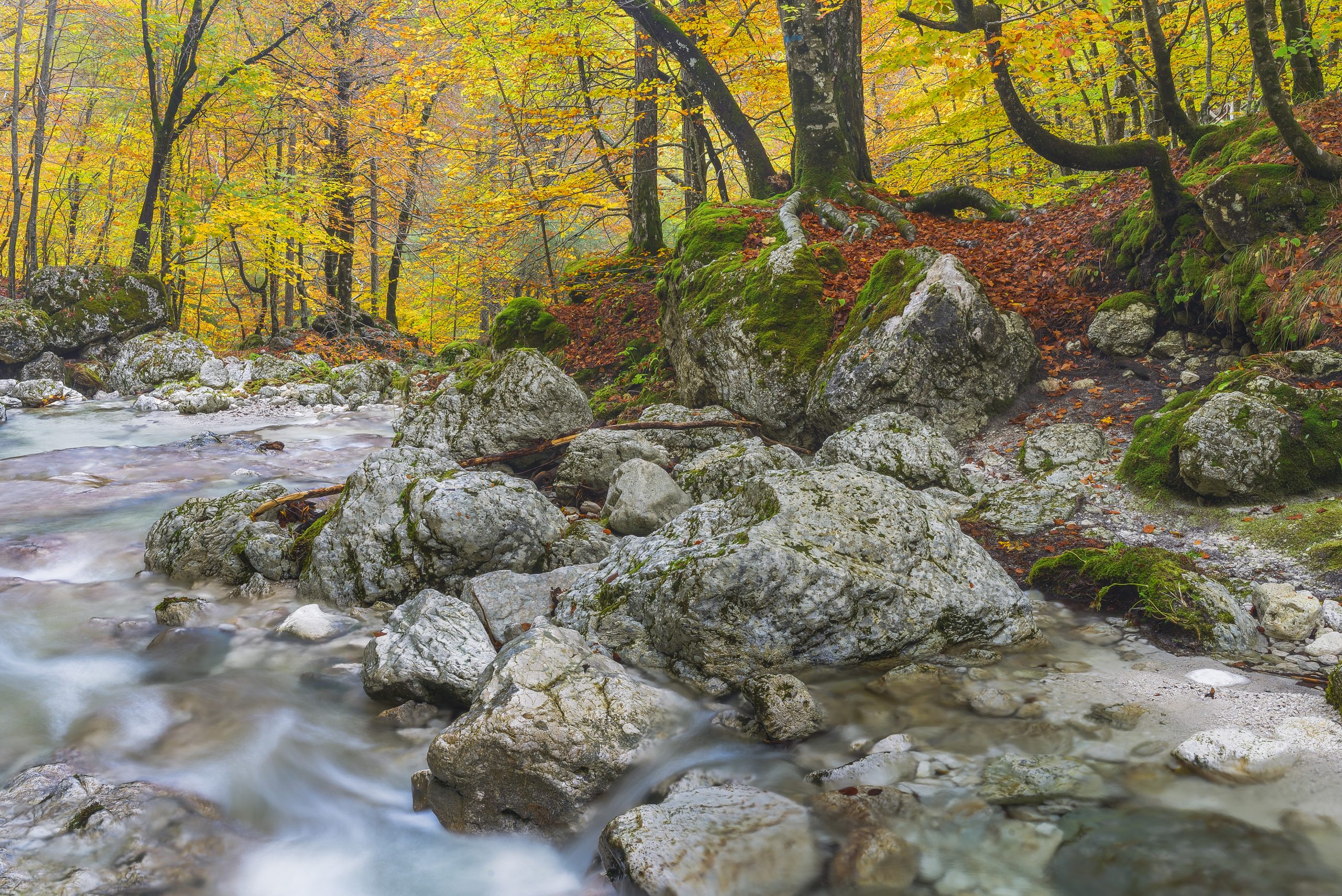 _DSC1182_L