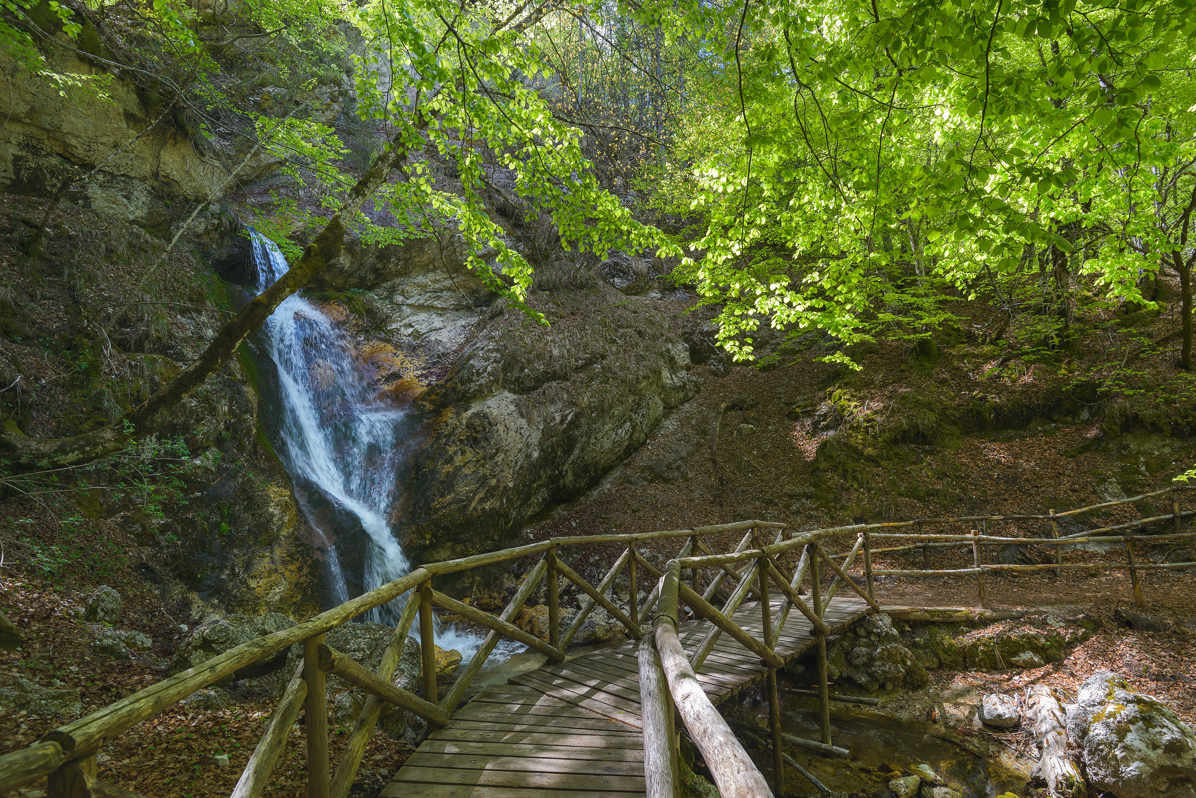_DSC3910_L