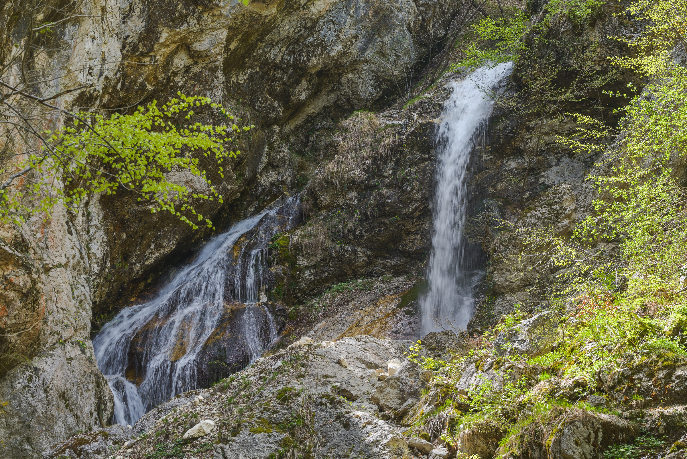 _DSC3926_L