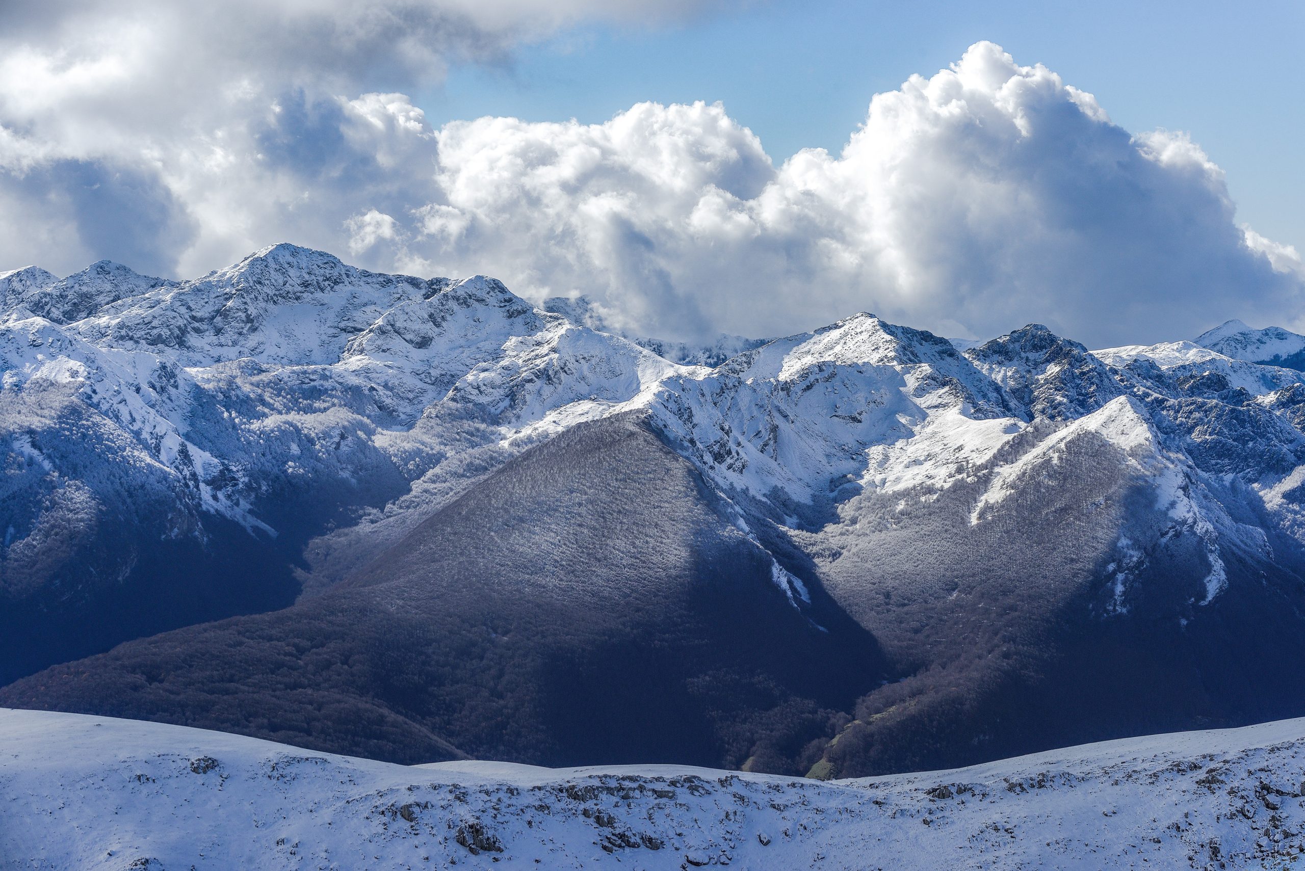 _DSC6084_2_L_L