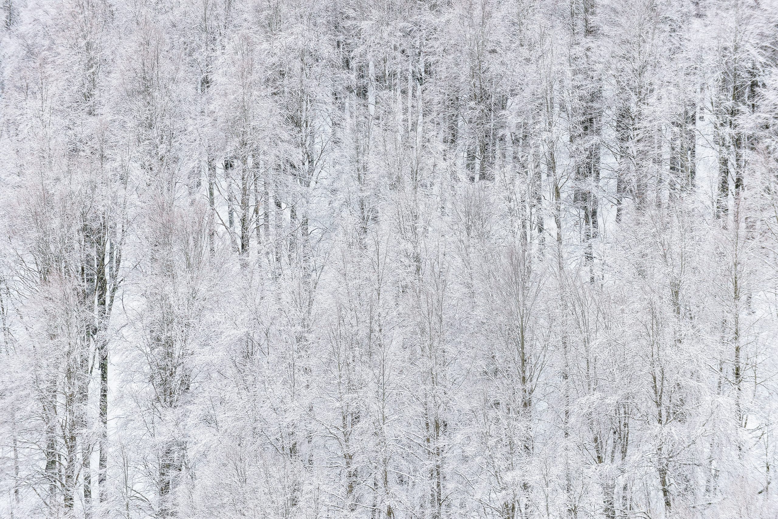 _DSC6624_L