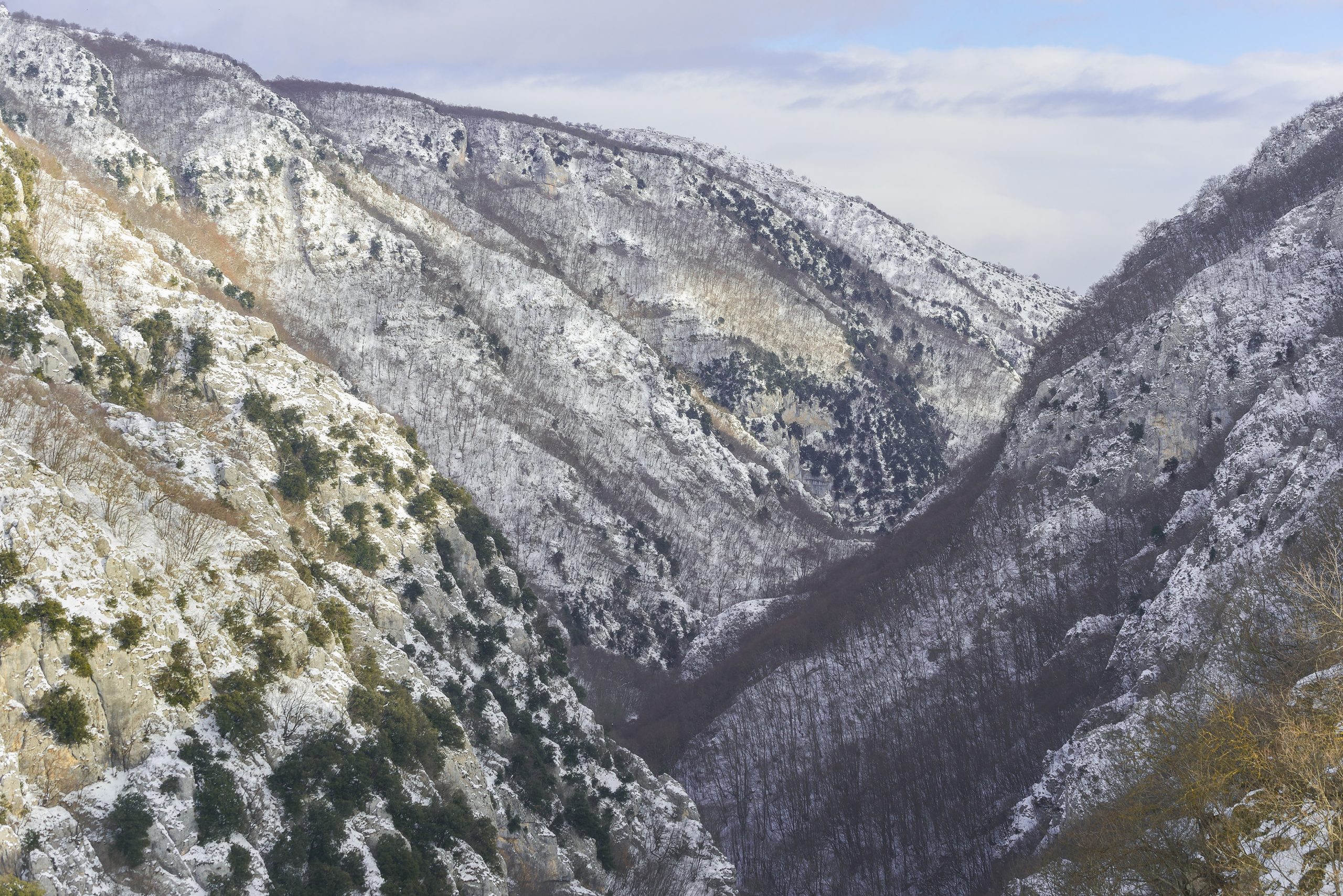 _DSC7451_L