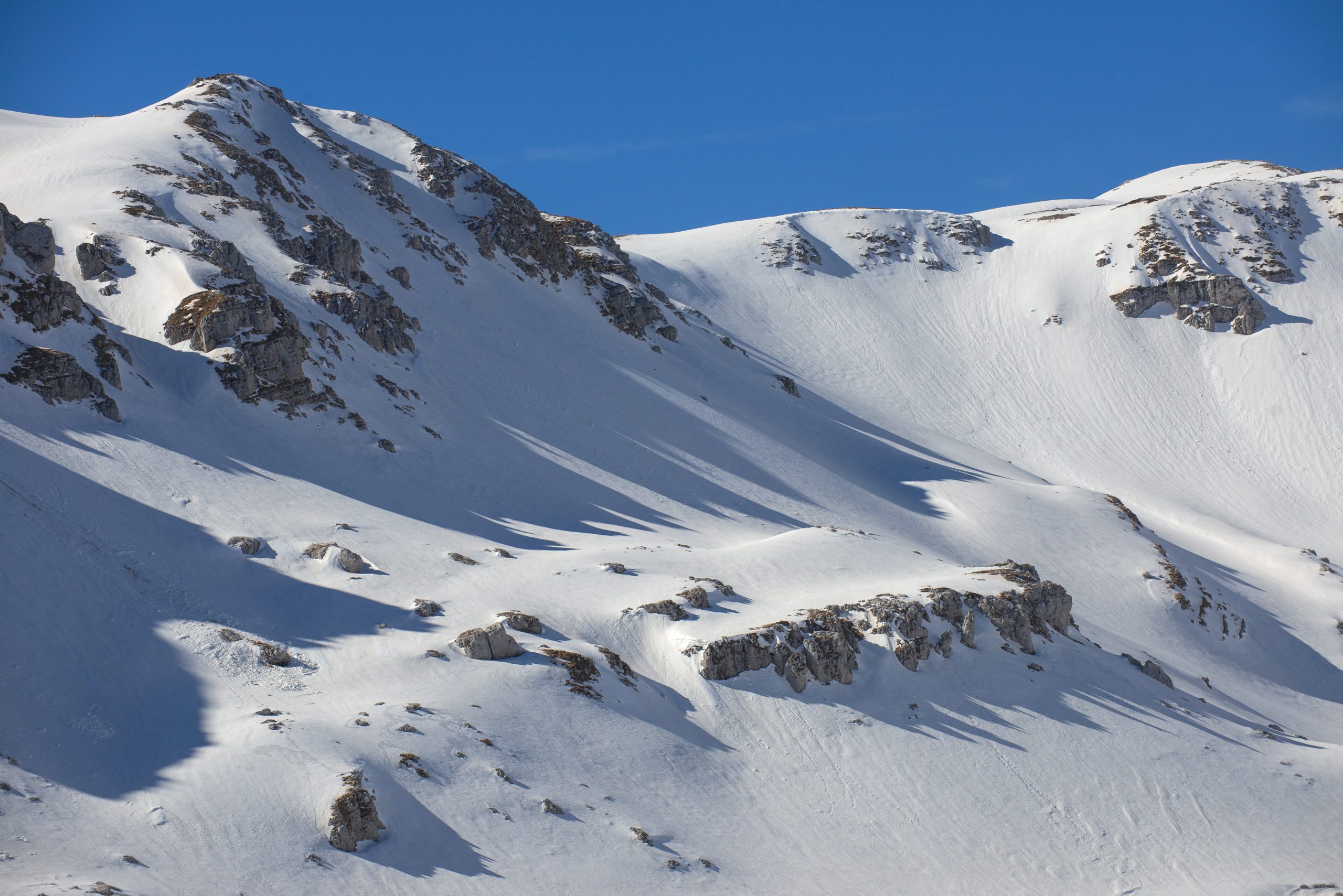 _DSC8126_L