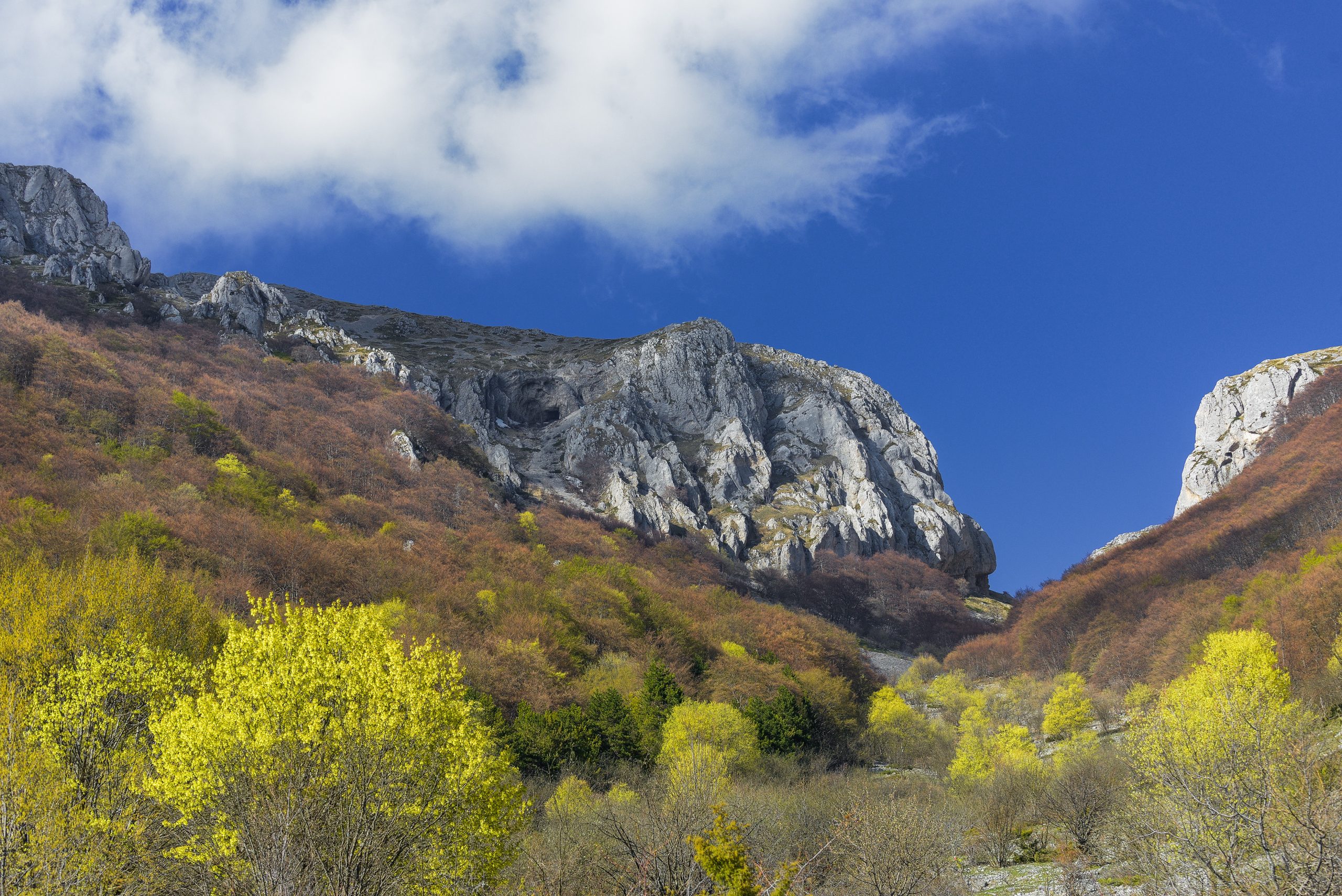 _DSC8510_L