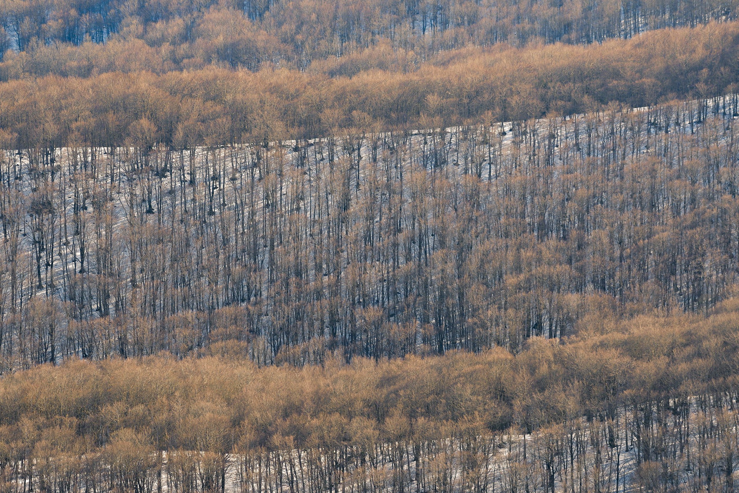 _DSC8737