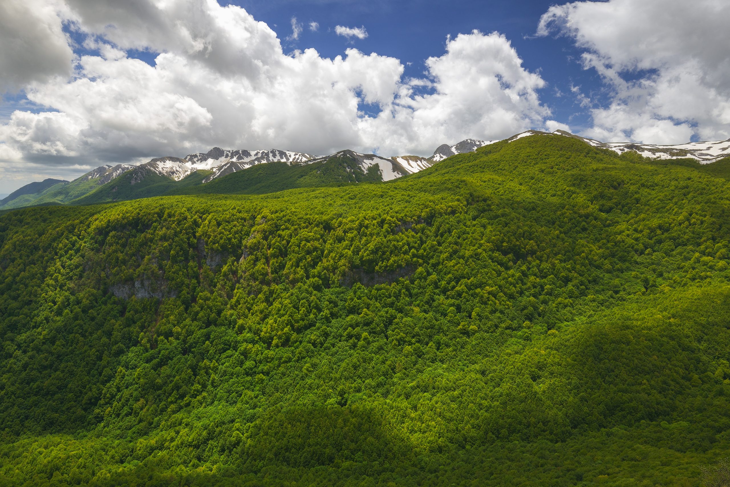 _DSC4807_L