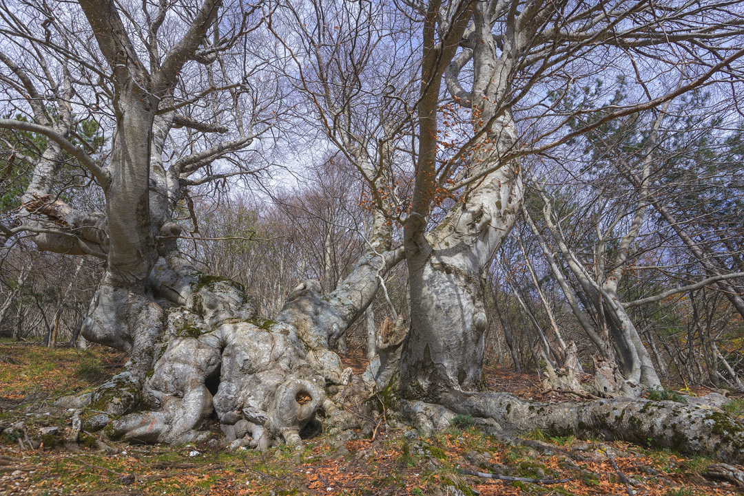 _DSC6368_L