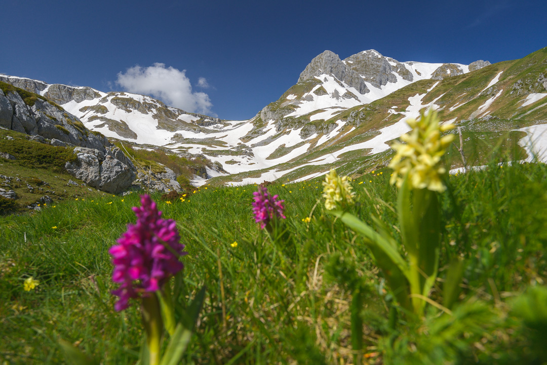 _DSC4448_L