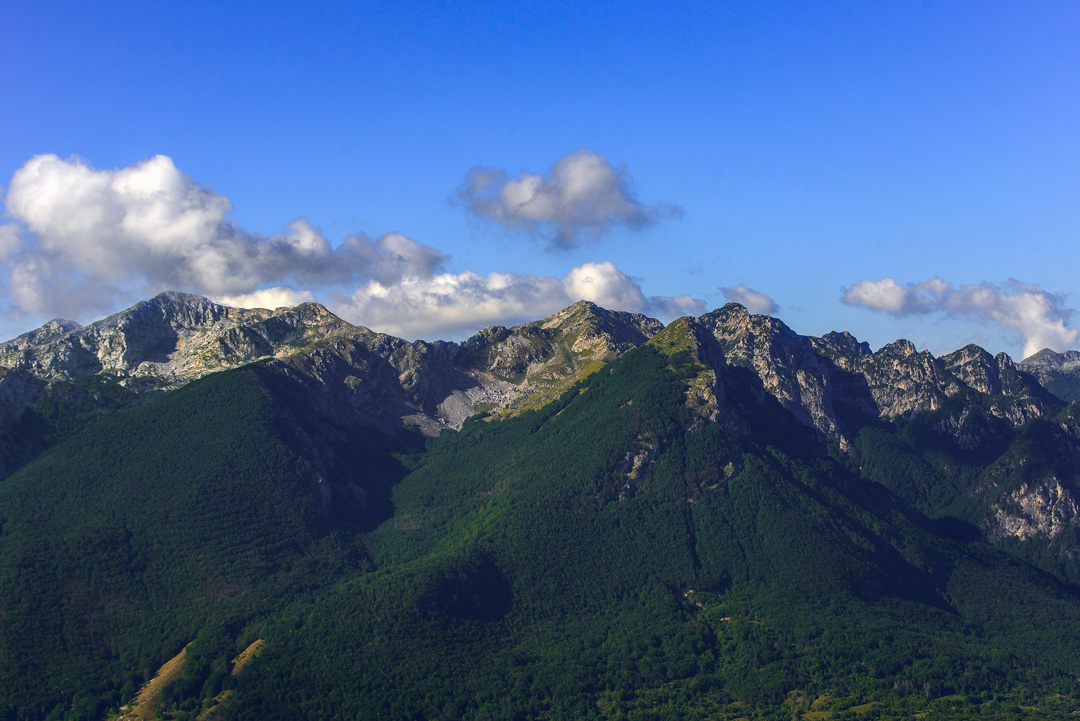 _DSC6566_L