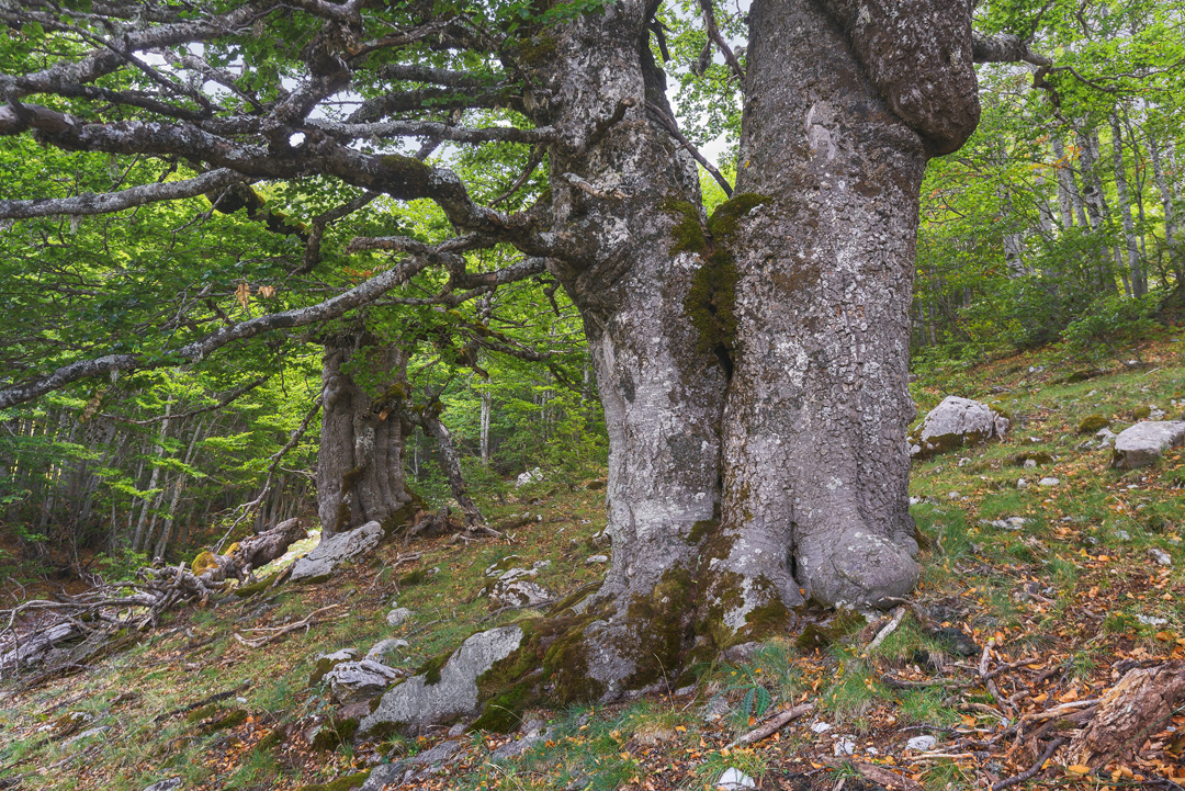 _DSC6661_L