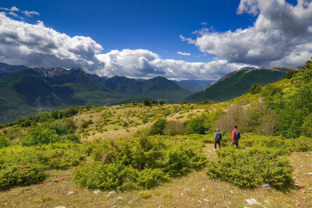 _DSC6669_L copia