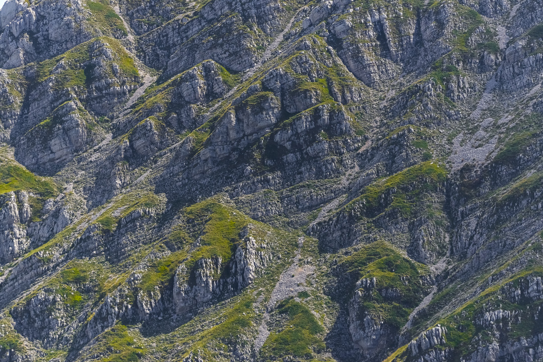 _DSC2111-26_L