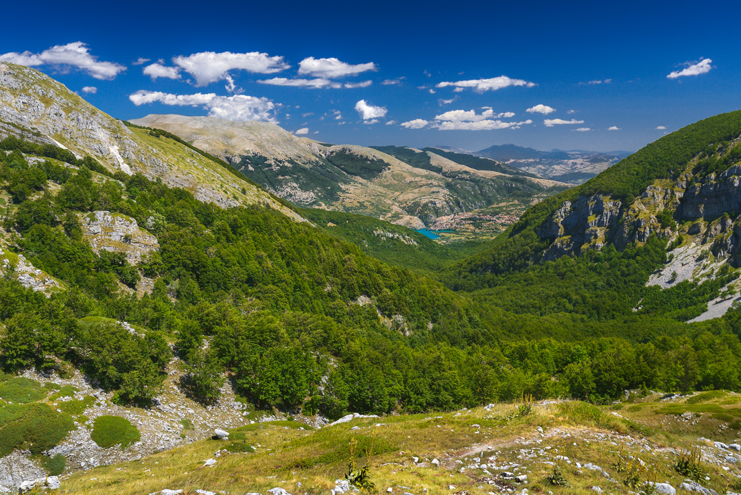 _DSC5685_L