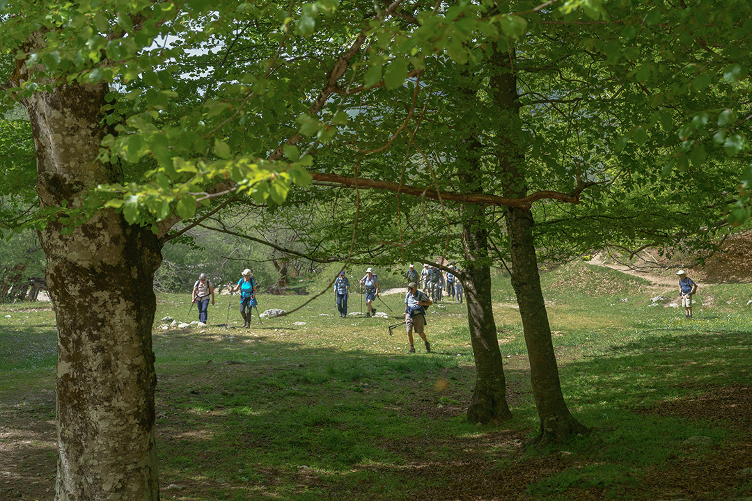 _DSC1260-018_L