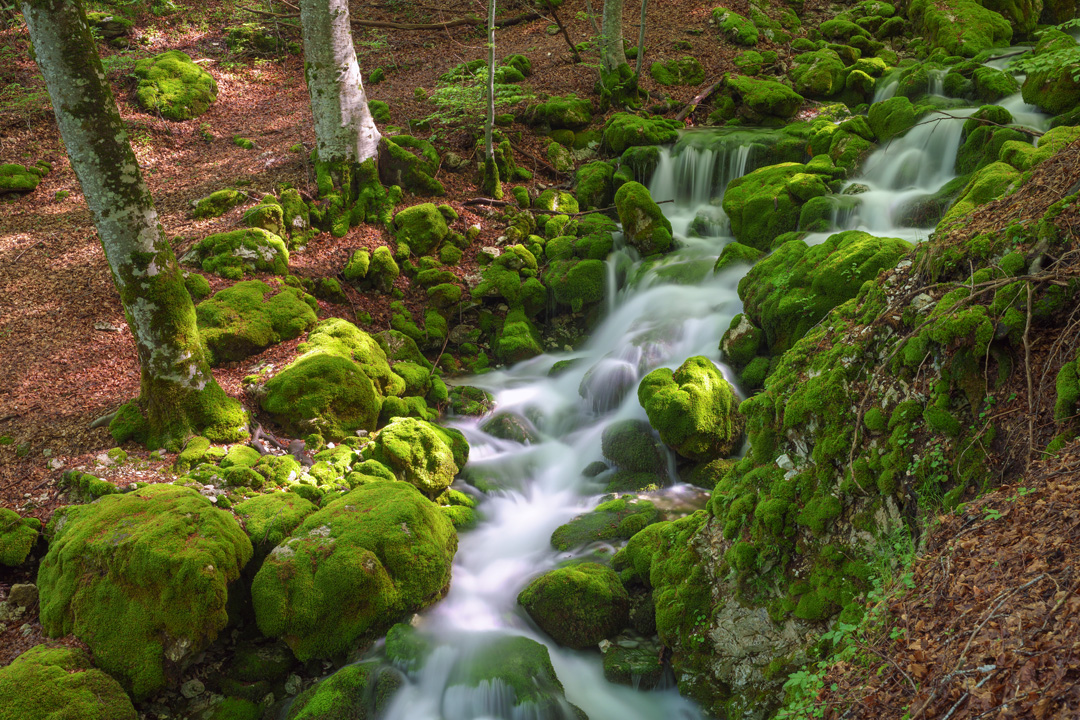 _DSC5520-010_L