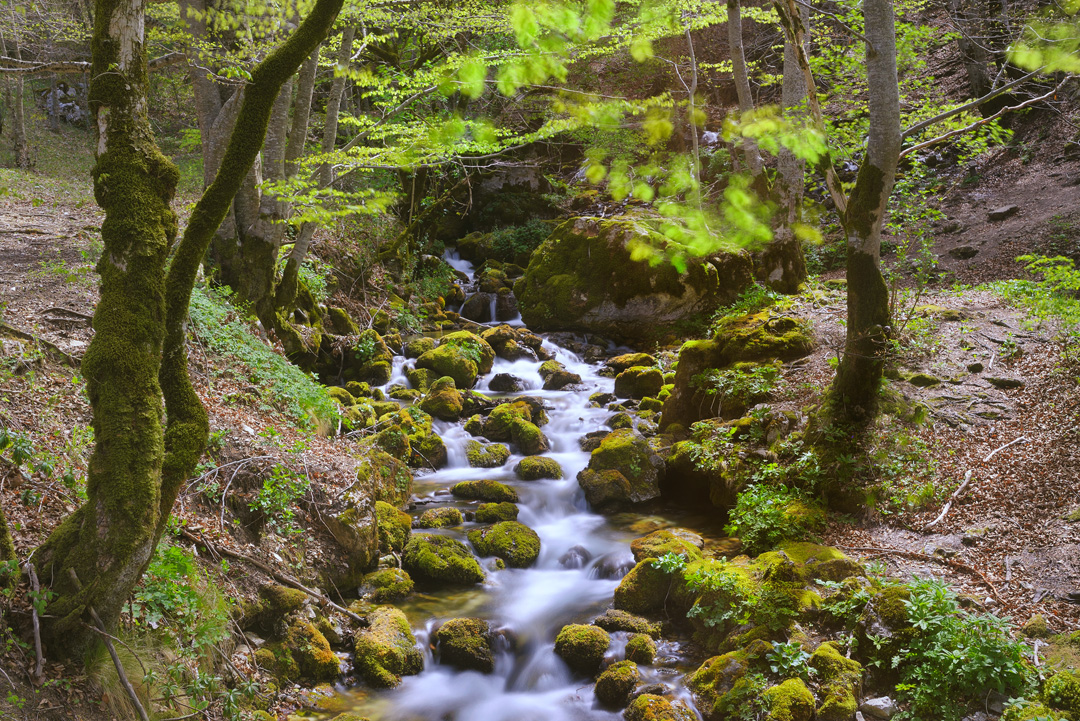 _DSC8753