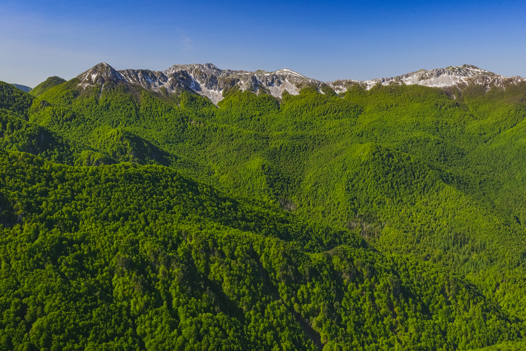 _DSC9770-11_L