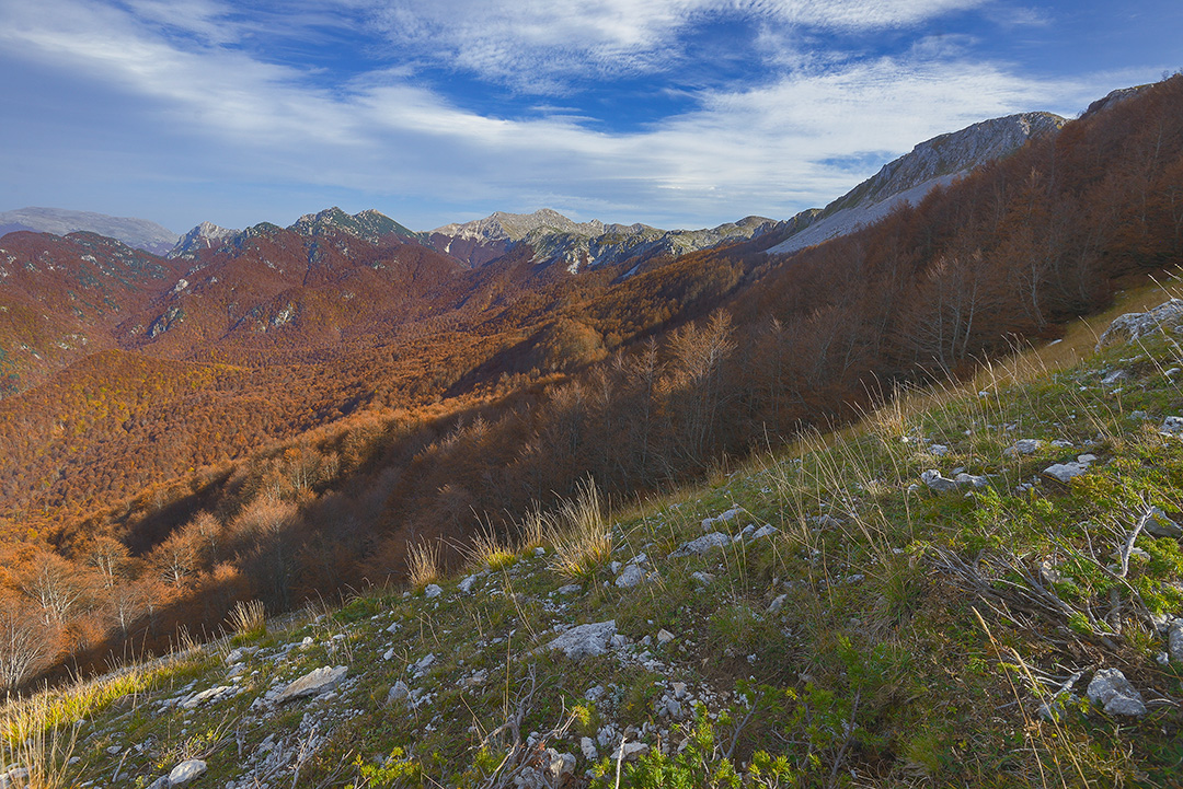 _DSC3966_216-001_L