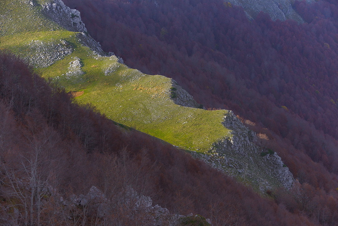 _DSC4067_242-013_L