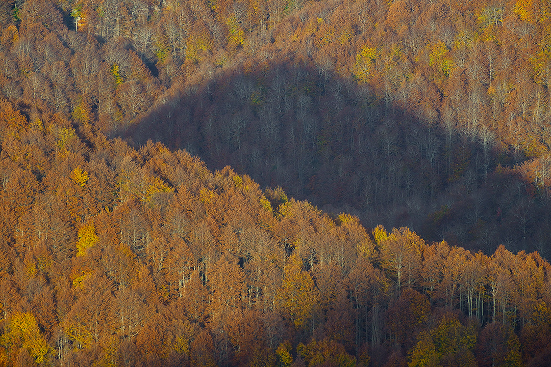 _DSC4090_246-015_L
