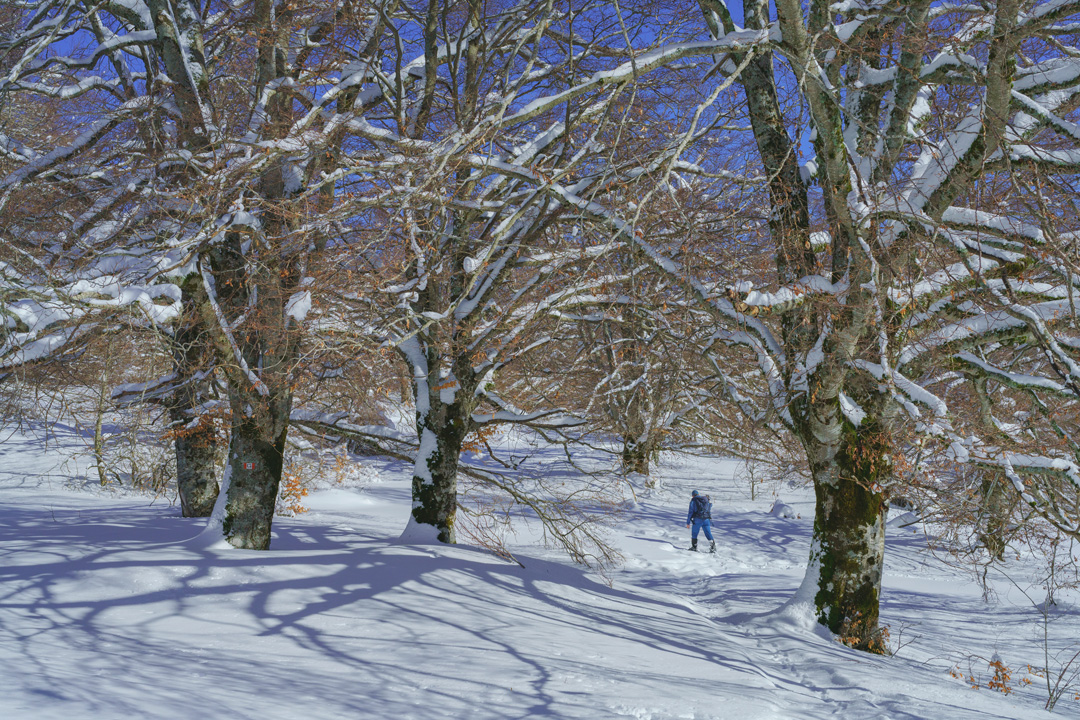 _DSC2509-052_L