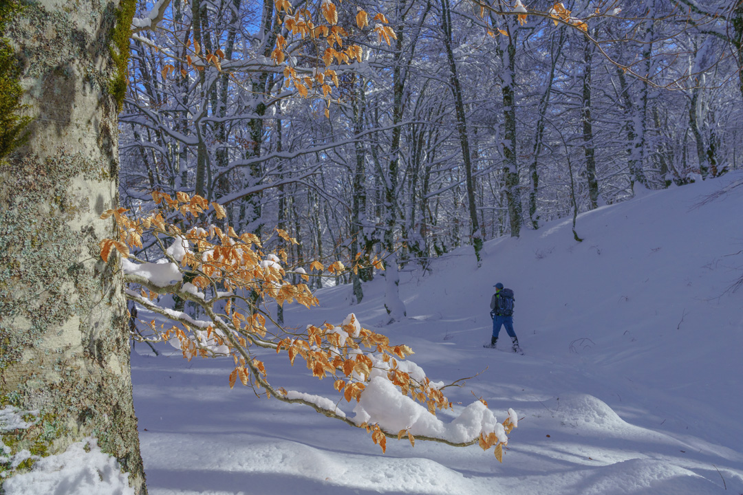 _DSC2544-064_L