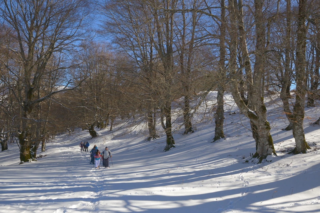 _DSC8244_low