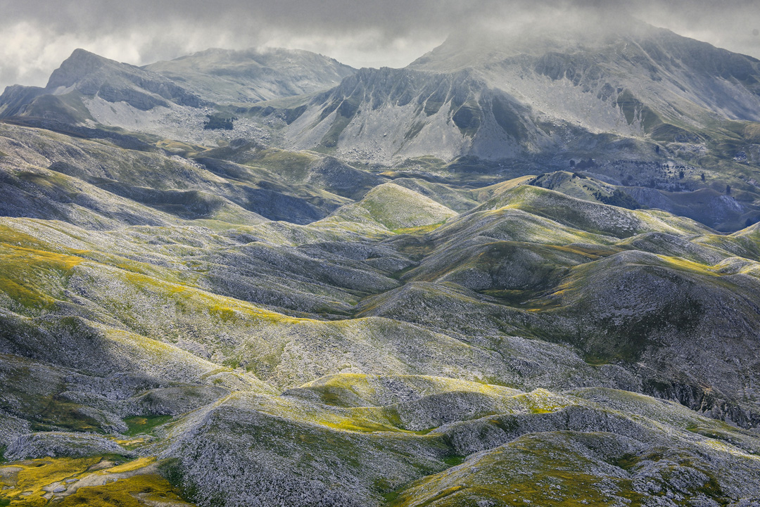 _DSC8590_L