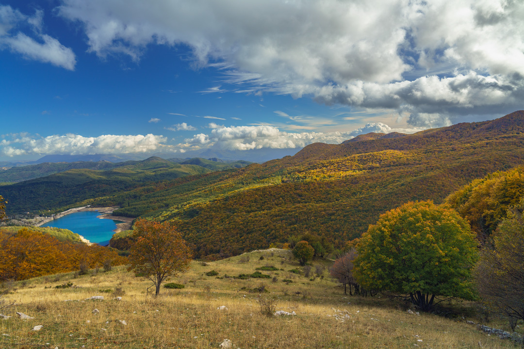 _DSC8703-006_L