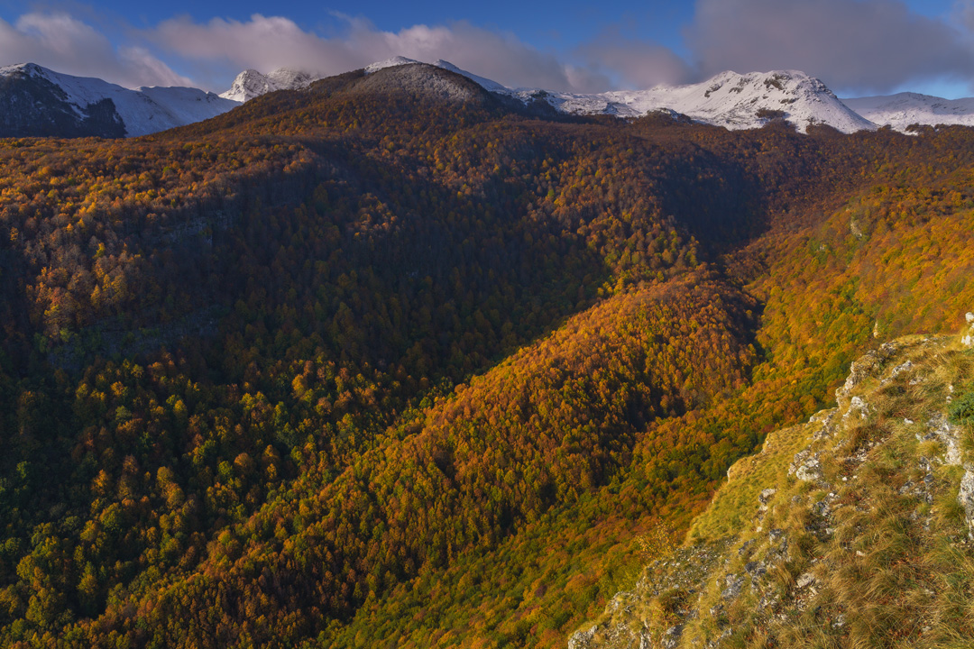 _DSC8551-008_L