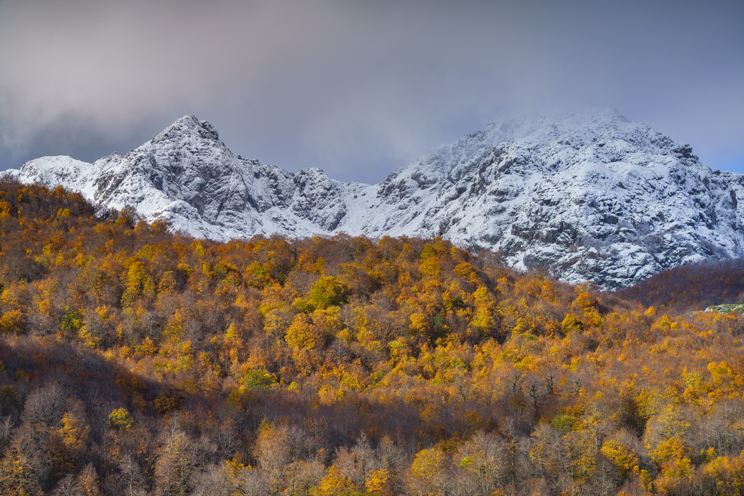 _DSC8608-030_L