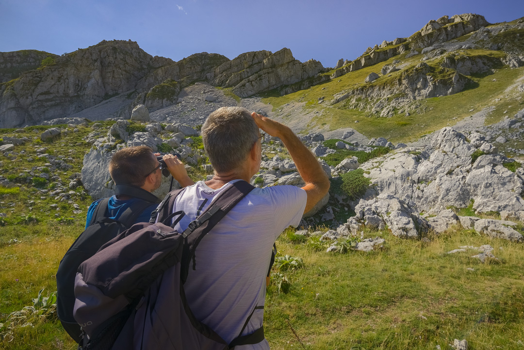 Comincia il servizio guidato in Val di Rose