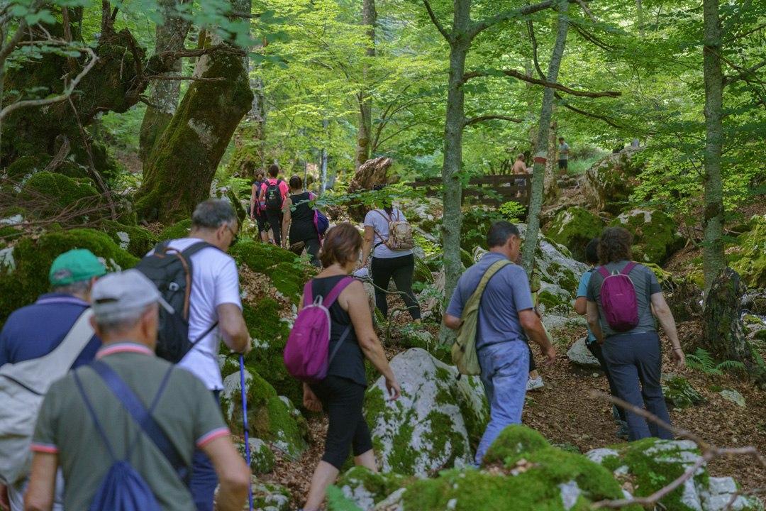 In Cammino sulla Via delle Acque