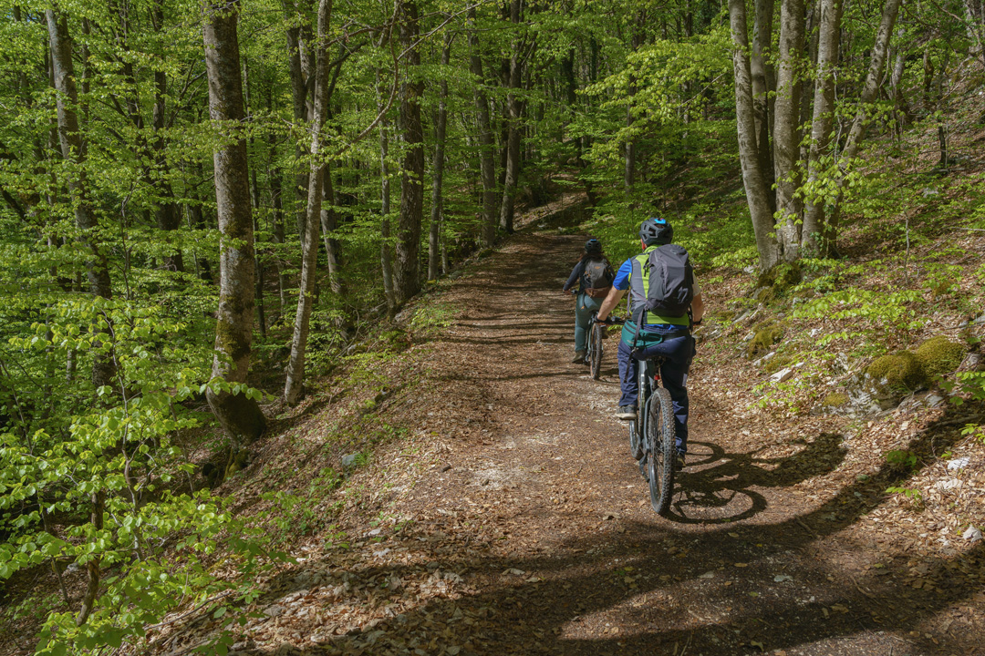 In e-bike tra faggete e torrenti