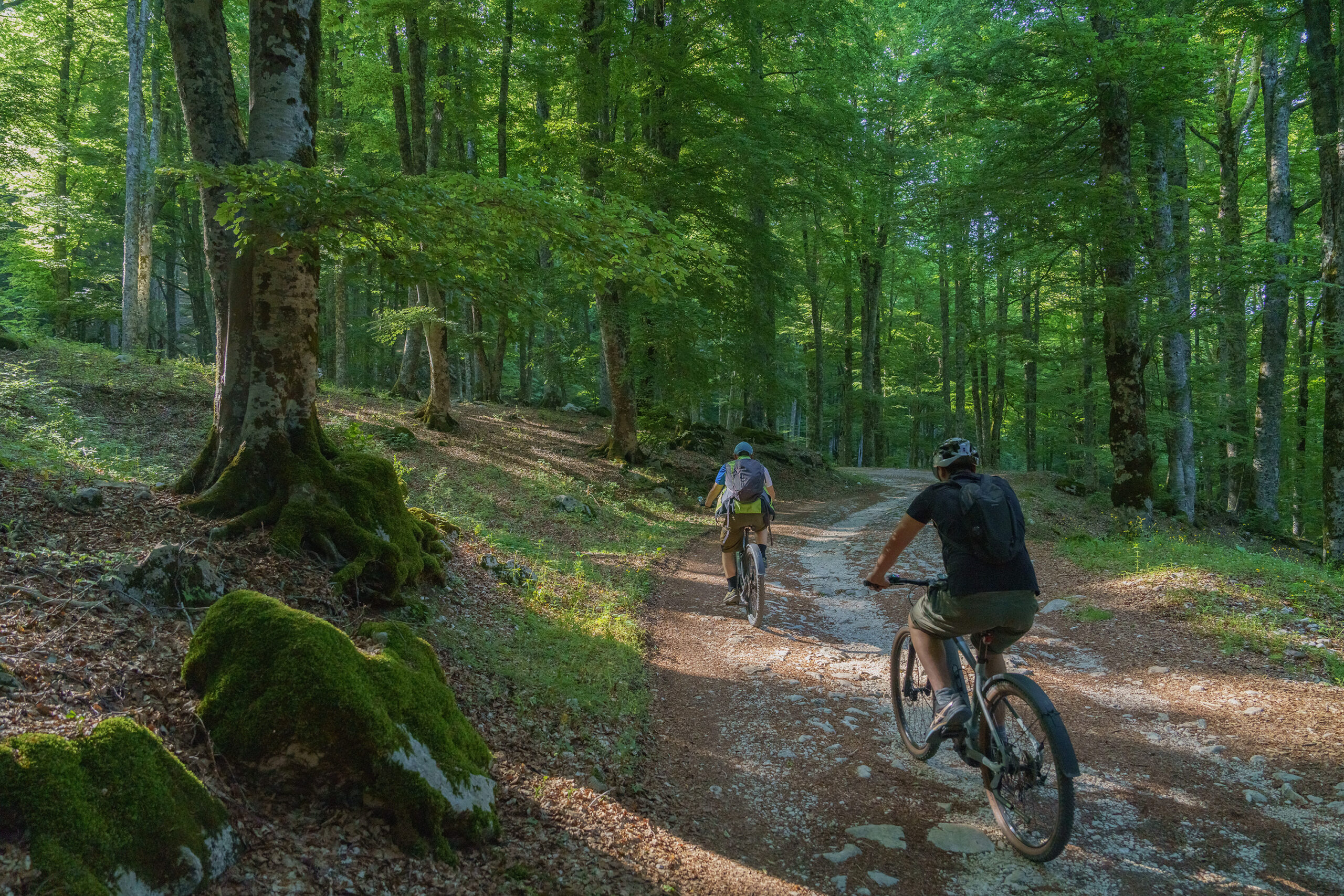 Avventura in EBike tra Faggete e Panorami Mozzafiato