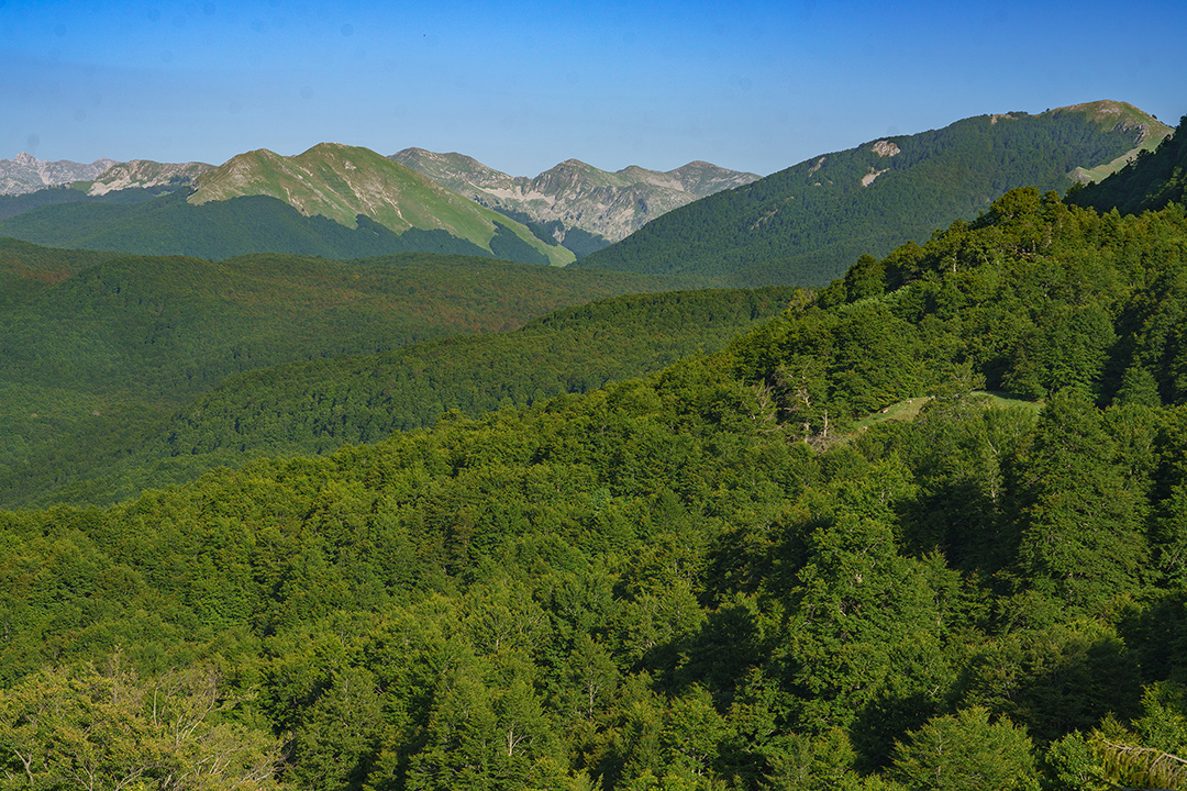 _DSC5124-025_L