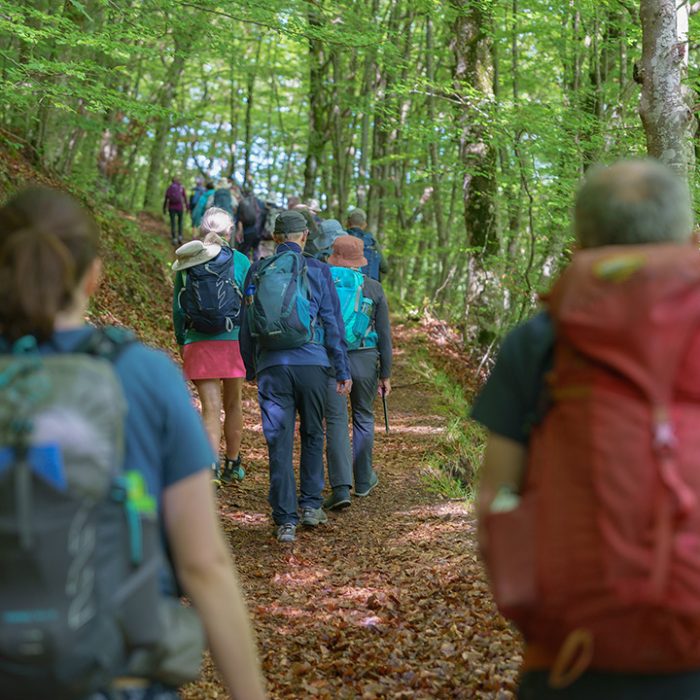 Tour di primavera tra Natura e Storia