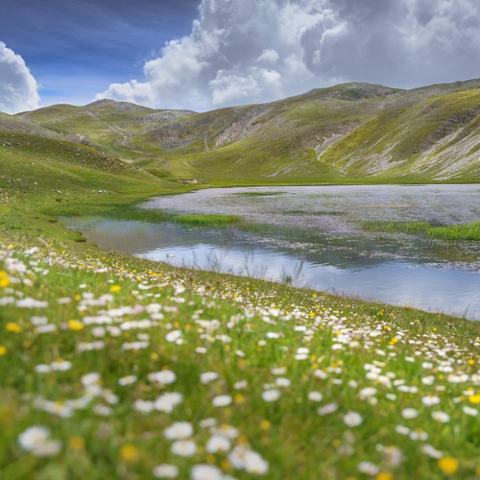 L’Eco Silente del Tempo: Il Lago di Pantaniello
